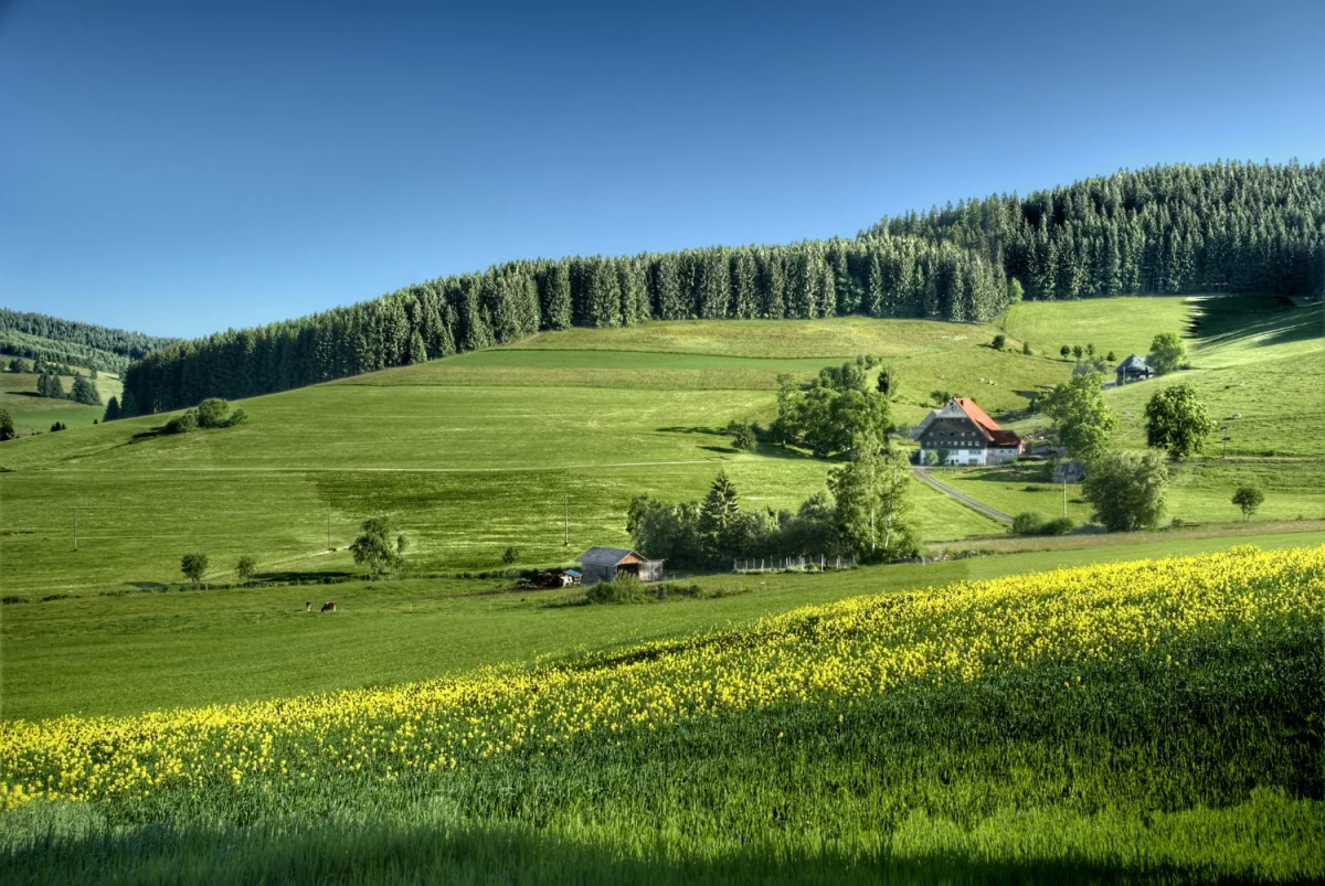 Artykuł: Materac 160x200 - Najlepszy wybór dla Twojego snu!
