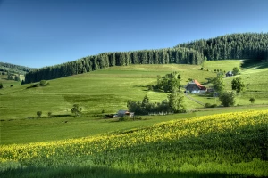 Artykuł: Materac 160x200 - Najlepszy wybór dla Twojego snu!