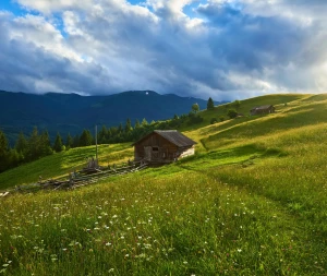 Dobra atmosfera – klucz do zdrowia i dobrego samopoczucia